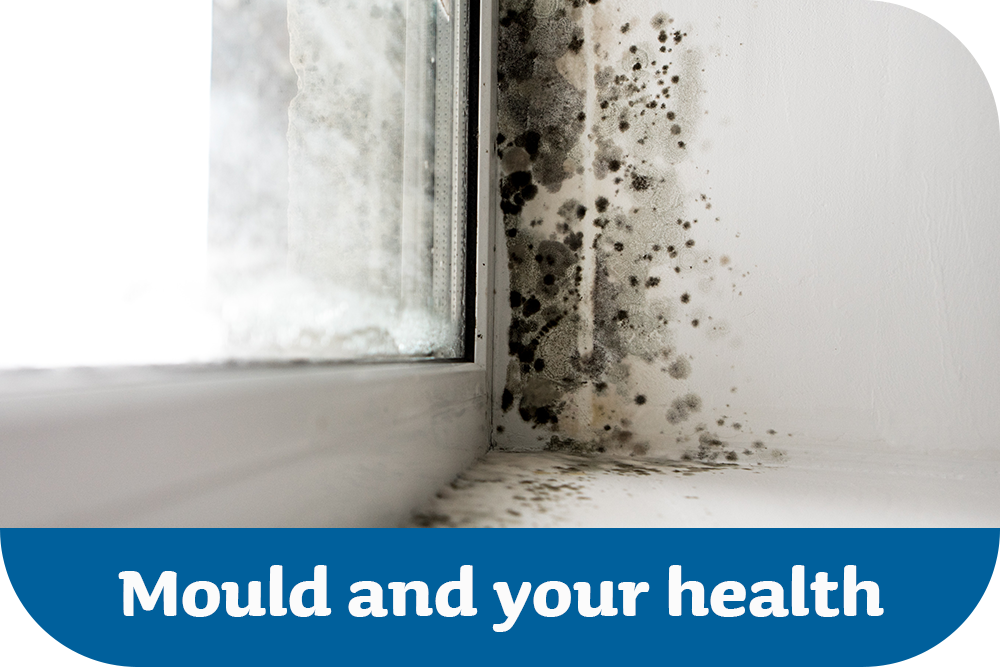 Mould and your health